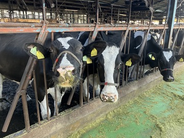 株式会社保延牧場-2