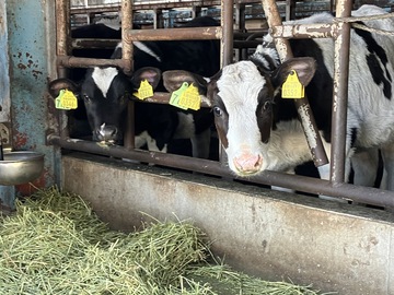 株式会社保延牧場-7