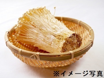 長野県中野市×施設野菜/法人【43089】-1