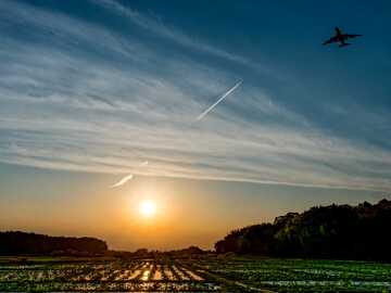 株式会社成田ケンコウファーム-1