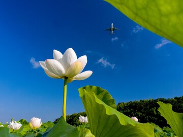 株式会社成田ケンコウファーム-5