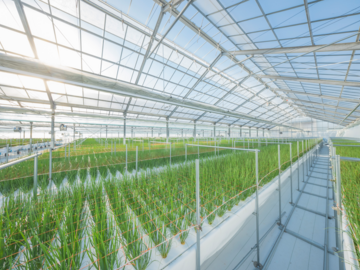 株式会社グリーンテック-1