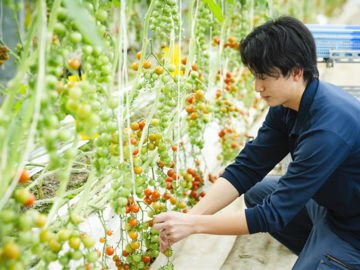 株式会社グリーンテック-3