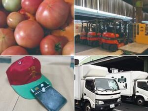 株式会社木貞商店-top