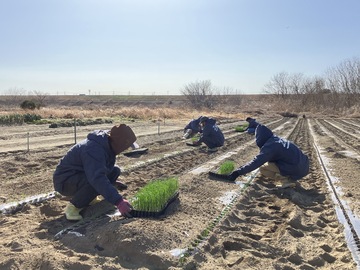 有限会社ファームヤード-3