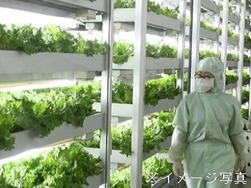 山形県鶴岡市×植物工場/法人【43095】-1