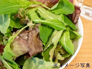 山形県鶴岡市×植物工場/法人【43095】-top