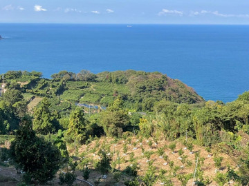 株式会社OKUBOFARM-5