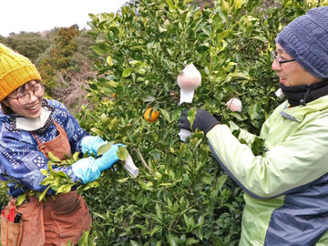 株式会社OKUBOFARM-2