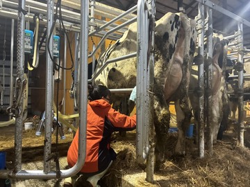 有限会社菊地農場-2