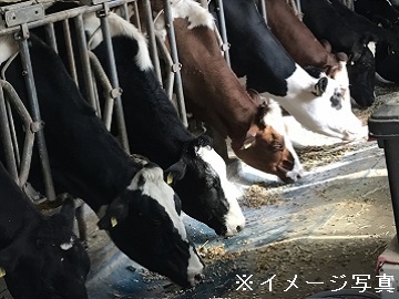 北海道標津町×酪農/個人【43092】-2