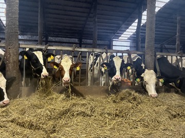 有限会社菊地農場-1