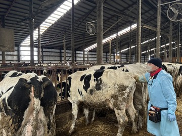 有限会社菊地農場-3