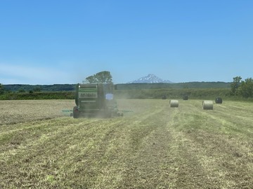 有限会社菊地農場-8