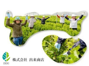 株式会社出来商店-top