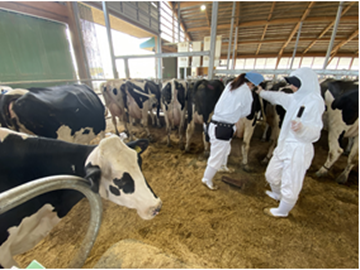 農事組合法人細越牧場-1