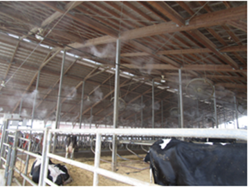 農事組合法人細越牧場-8