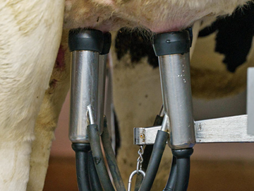 農事組合法人細越牧場-3