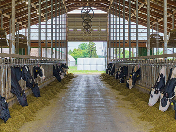 農事組合法人細越牧場-7