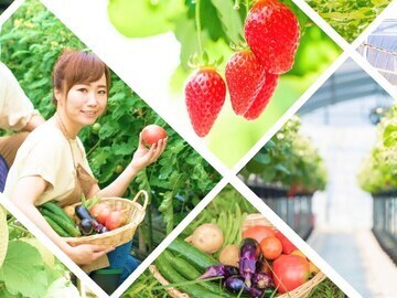 株式会社大門商店【千葉県:資材営業】-1