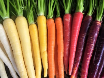 うるおい春夏秋冬-1