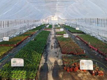 うるおい春夏秋冬-2