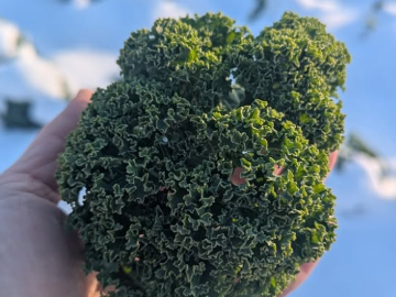 うるおい春夏秋冬-4