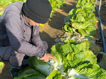 コンドウ農園-6