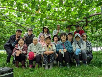 ゴヘイのぶどう園-top