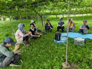 ゴヘイのぶどう園-1