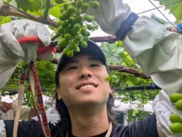 ゴヘイのぶどう園-2