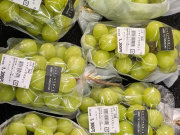 ゴヘイのぶどう園-6