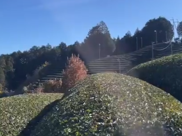 株式会社上嶋爽禄園-3