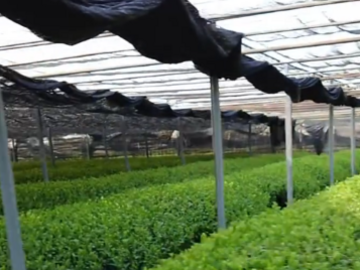 株式会社上嶋爽禄園-5