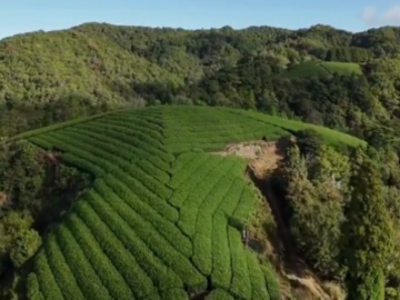 株式会社上嶋爽禄園-6