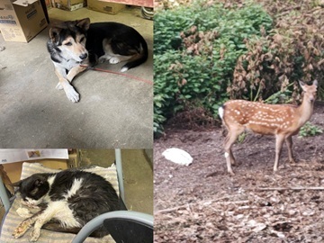 中村牧場(滋賀県)-7