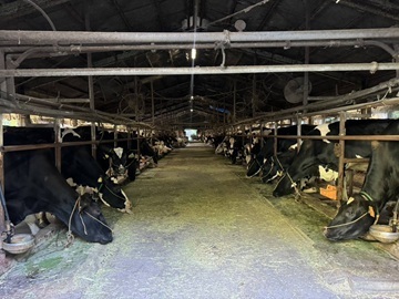 中村牧場(滋賀県)-8