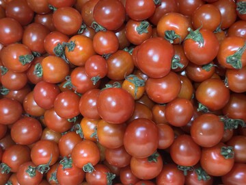 やさおファーム-4