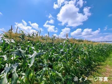 味の素食品北海道株式会社【北海道:栽培管理】-2