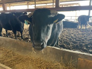 株式会社松井-1