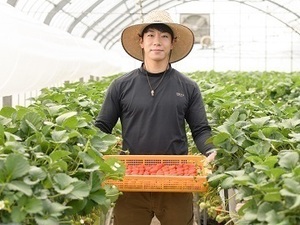 株式会社讃久農園(さんきゅうのうえん)-top