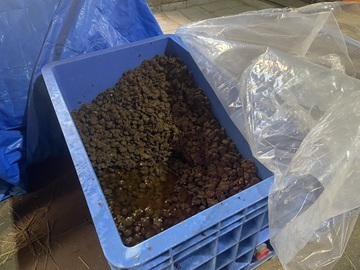 株式会社原作-5