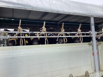 株式会社原作-2