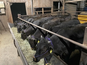 株式会社原作-3