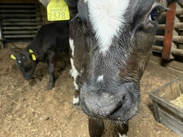 株式会社原作-4