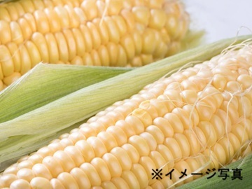 味の素食品北海道株式会社【北海道:品質管理】-1