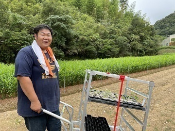 吉本農園【長期アルバイト】-1