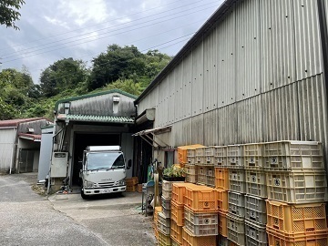 吉本農園【長期アルバイト】-4