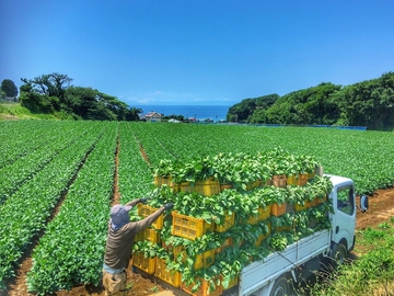 有限会社岩崎ファーム-6