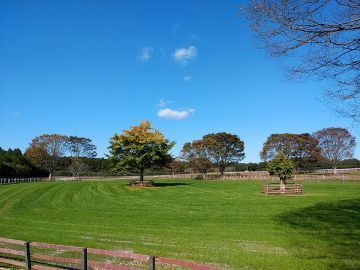 有限会社下河辺トレーニングセンター-2